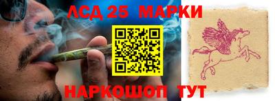 стаф Обнинск