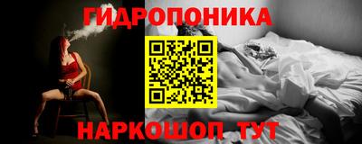 стаф Обнинск