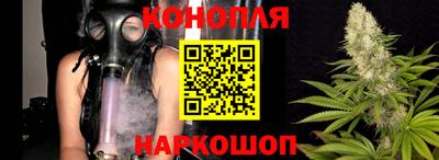 стаф Обнинск