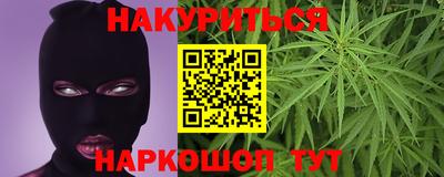 дмт Обь