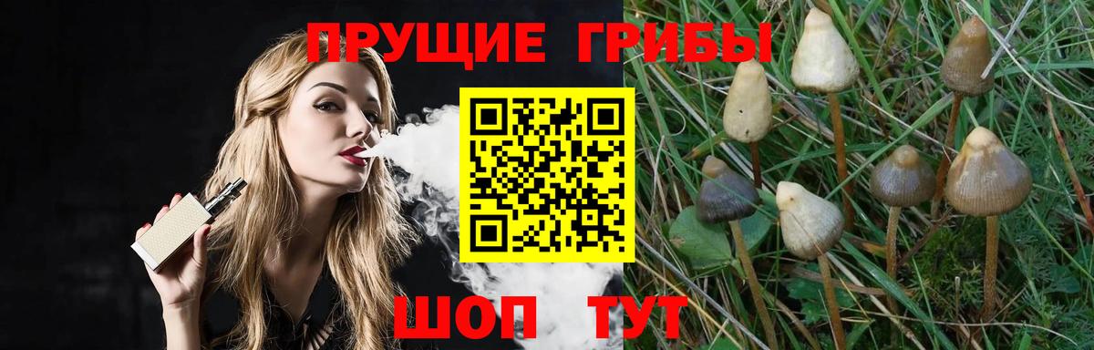 Галлюциногенные грибы Cubensis  Псилоцибиновые грибы Cubensis  как найти наркотики  Вход с VPN  Электрогорск 