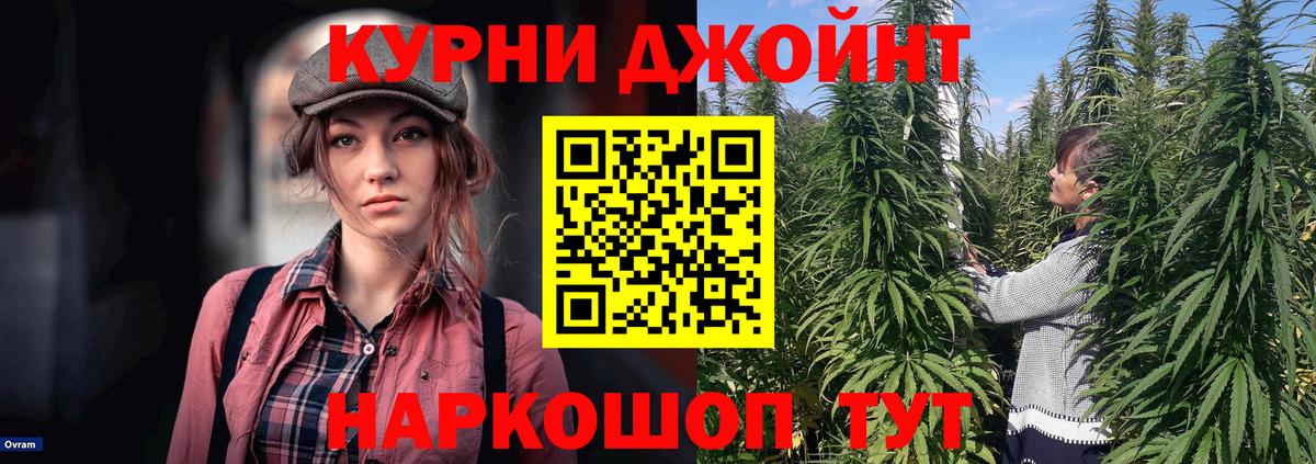 Электрогорск  Канабис гибрид  Вход с VPN  Бошки Шишки Bruce Banner 